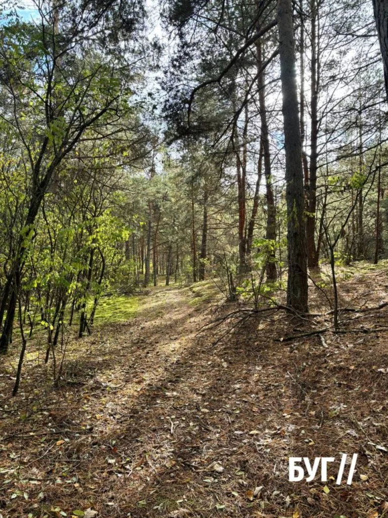 Фото дня: «тихе полювання» у Шацьких лісах 2
