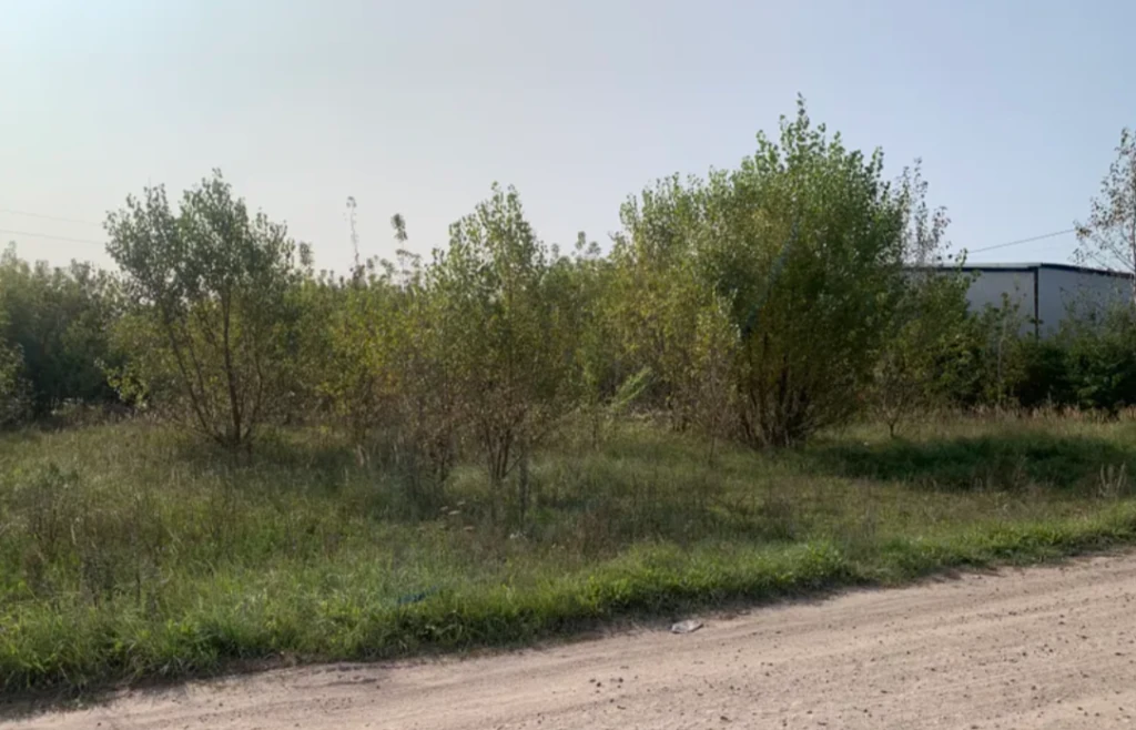 Діброва придбав гектари землі у Володимирському районі, конкуруючи на аукціонах зі своїми підлеглими 5