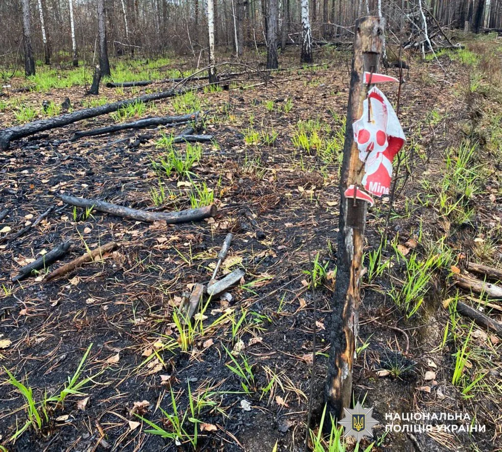 У лісі на Житомирщині два авто підірвалися на мінах: загинули п'ять людей 2