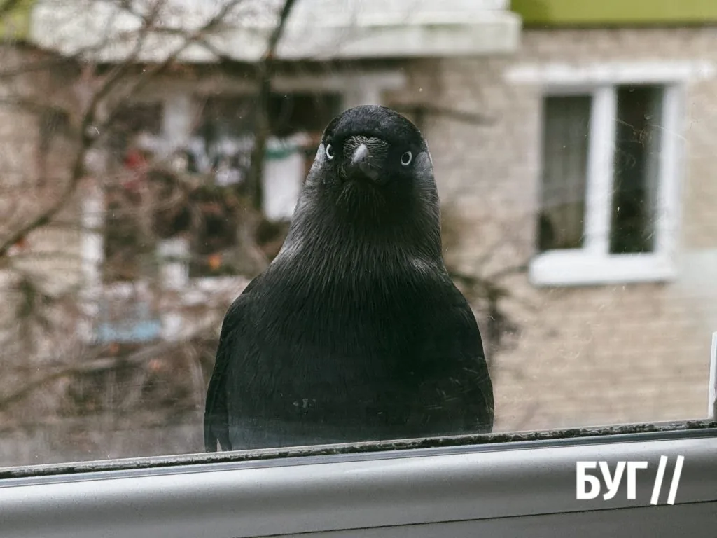 Місто буденне: Нововолинськ у ритмах прохолодного дня 4