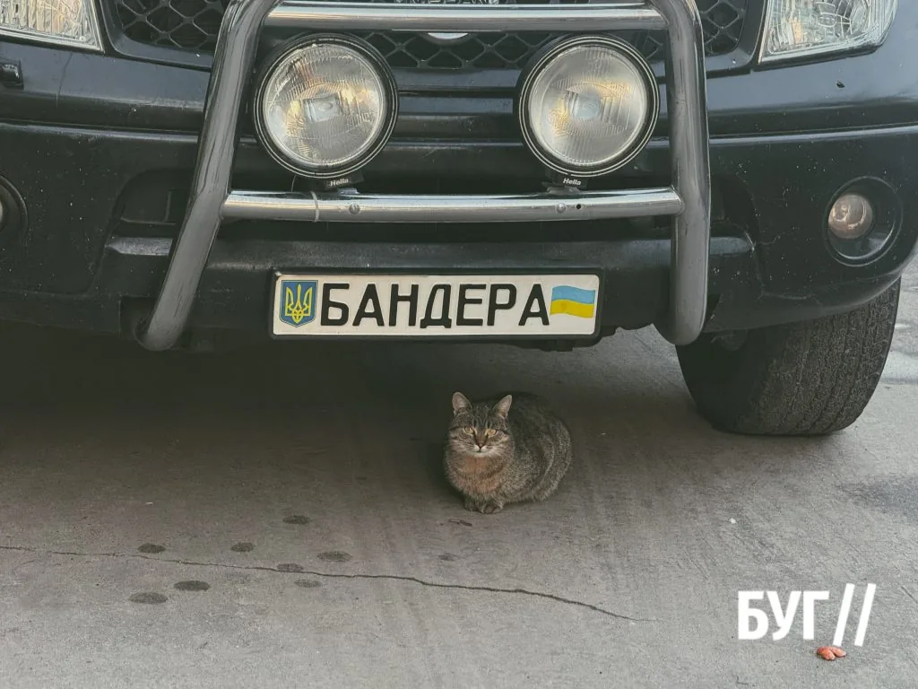 Місто буденне: Нововолинськ у ритмах прохолодного дня 13