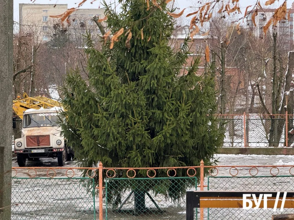 Фото дня: у міському парку встановили головну ялинку Нововолинська 1