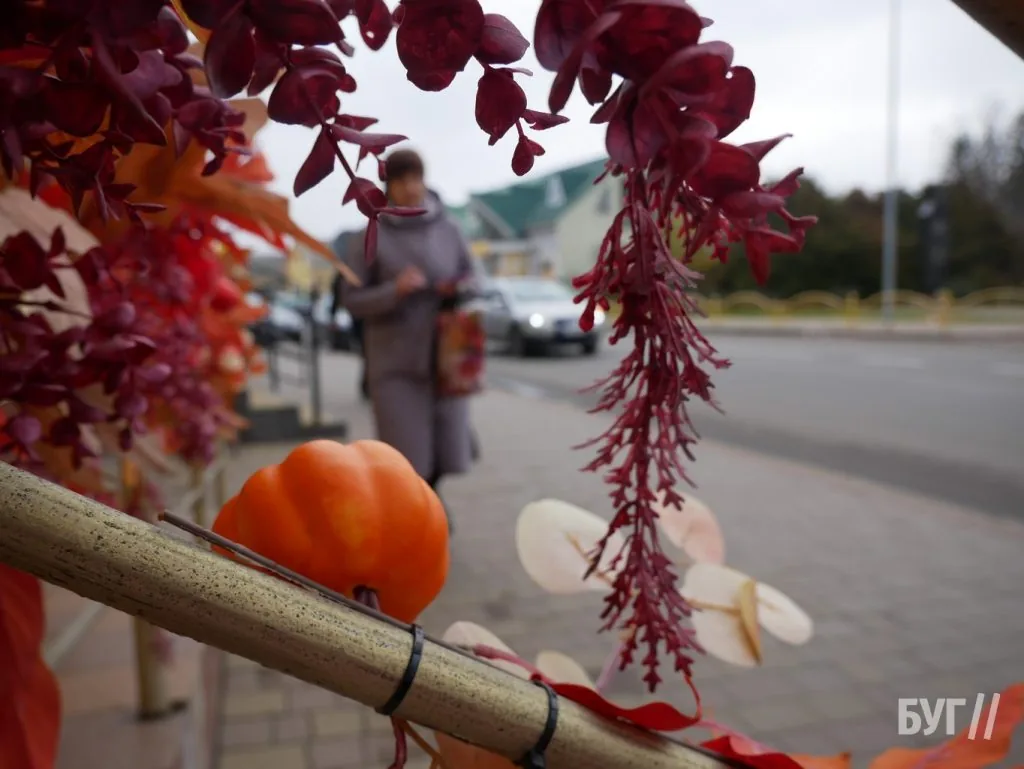 Місто буденне: осінній Володимир - між золотим листям і сірими буднями 9