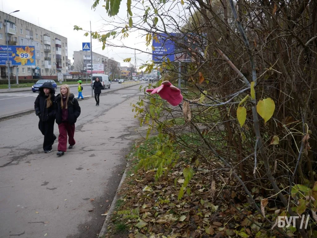 Місто буденне: осінній Володимир - між золотим листям і сірими буднями 20