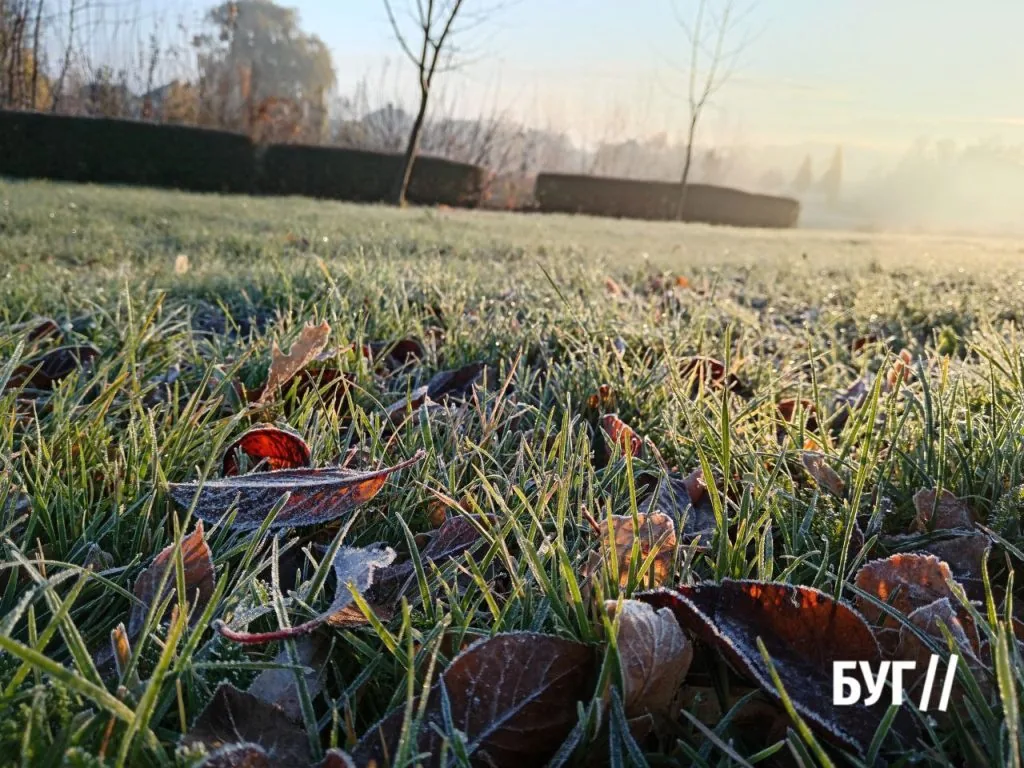 Фото дня: Володимир зустрічає листопад приморозком і туманом 3