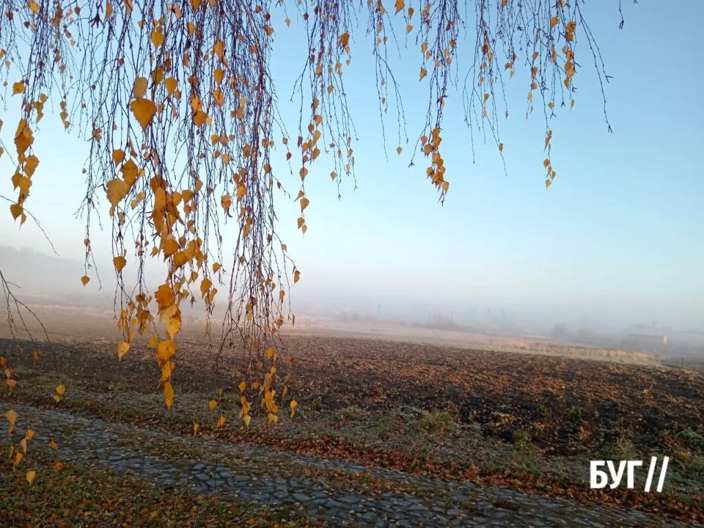 Фото дня: Володимир зустрічає листопад приморозком і туманом 2