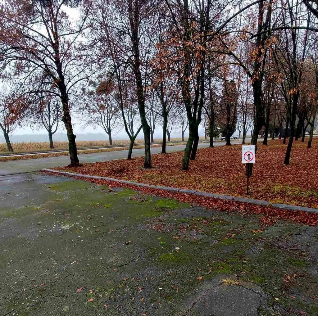 Комунальники Володимира просять містян не засмічувати локацію поблизу меморіалу 2