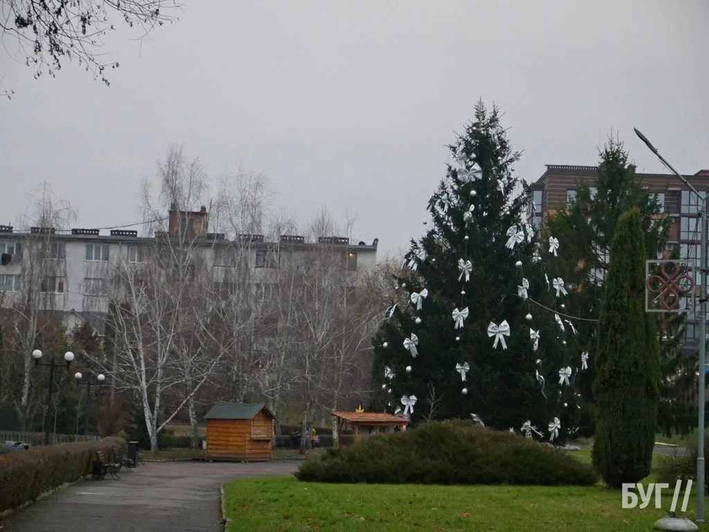 Фото дня: у Володимирі прикрасили головну ялинку міста 3