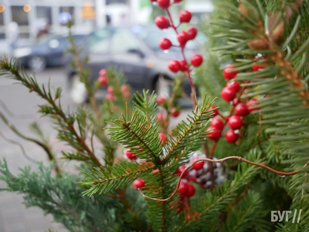 Місто буденне: грудневий Володимир без снігу, але з різдвяними декораціями 8