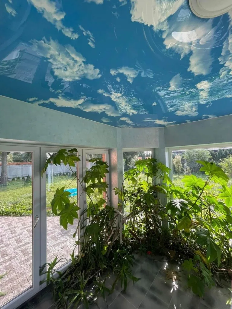 Маєток чиновника - втікача Коби вже півтора роки на OLX: будинок дешевшає, але не продається 9