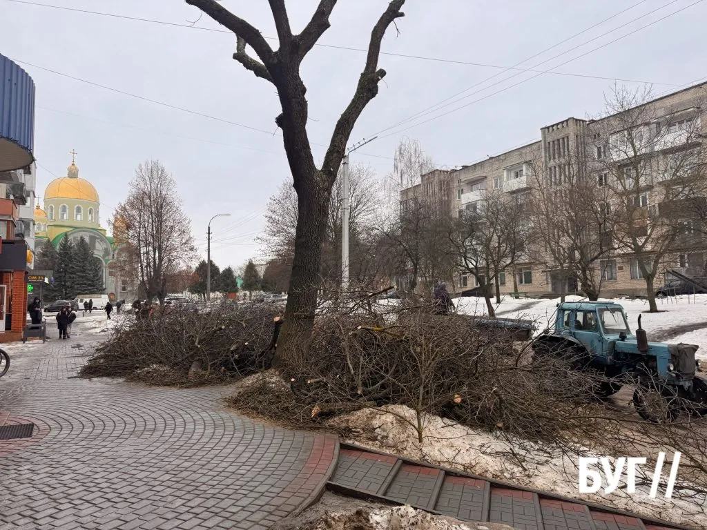 Фото дня: у Нововолинську комунальне підприємство «УЖК-1» кронує дерева напередодні весни 2