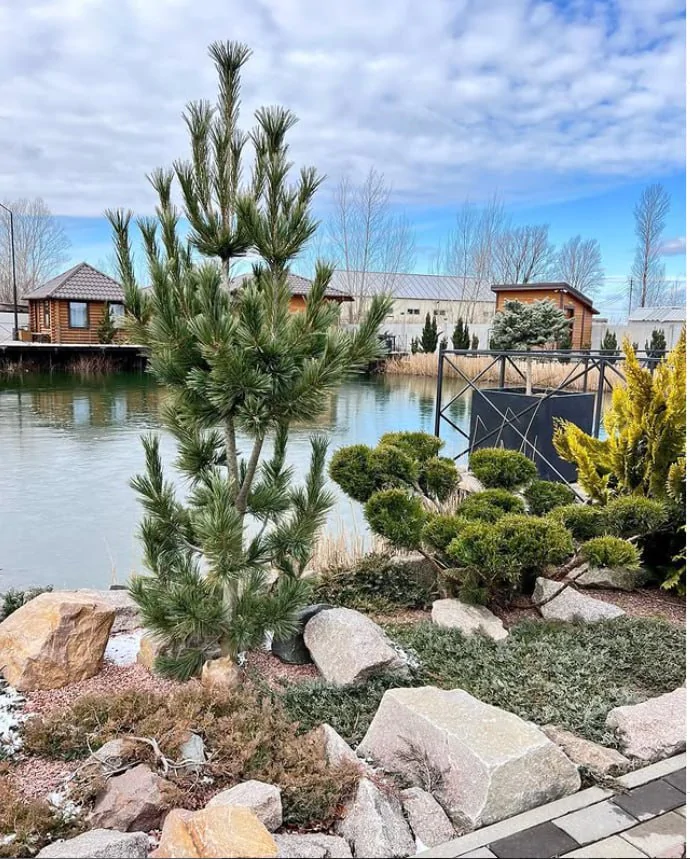 Куди піти на побачення у Нововолинську: топ-7 ідей до Дня Валентина 5