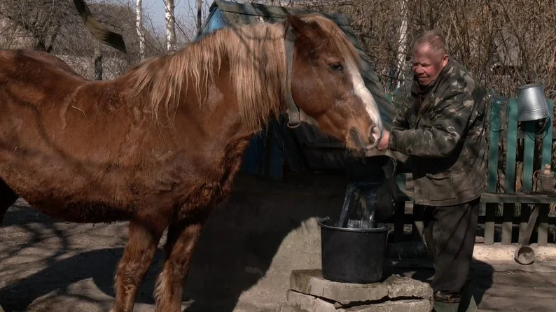 Зростання цін на пальне й міндобрива: як це вплине на посівну на Волині 8