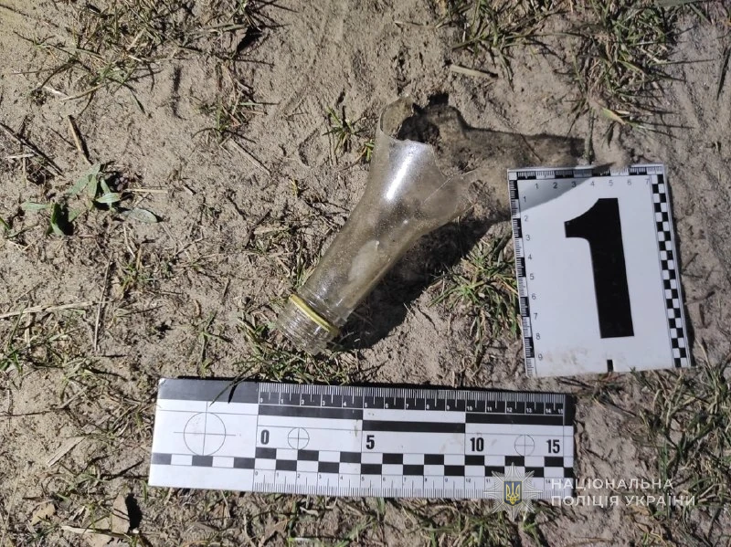 На Камінь-Каширщині затримали молодика, який підпалив автомобіль 1