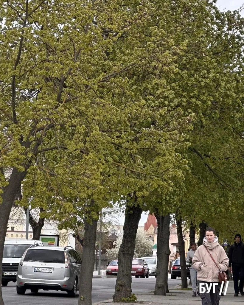 Місто буденне: серед щоденної метушні варто помітити красу 5