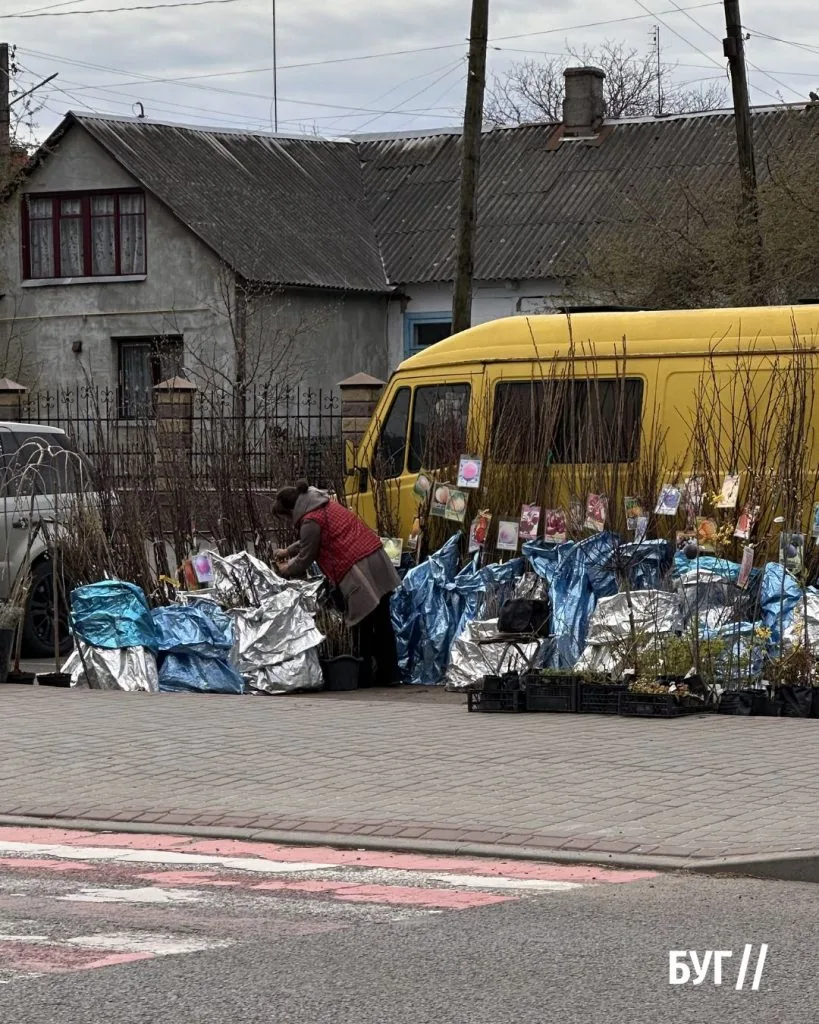 Місто буденне: Володимир після Великодніх свят повертається до звичного ритму 15