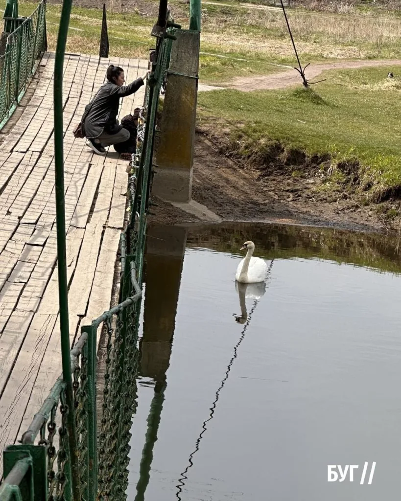Місто буденне: Володимир після Великодніх свят повертається до звичного ритму 23