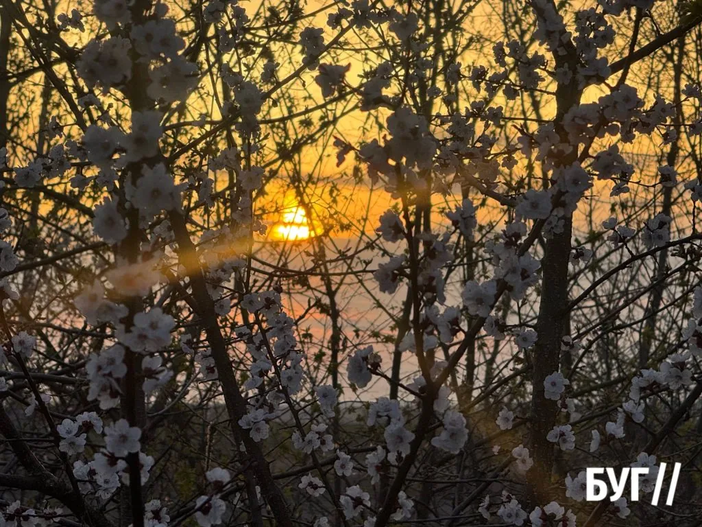 Фото дня: весна у Нововолинську та нагадування про відповідальність за природу 3