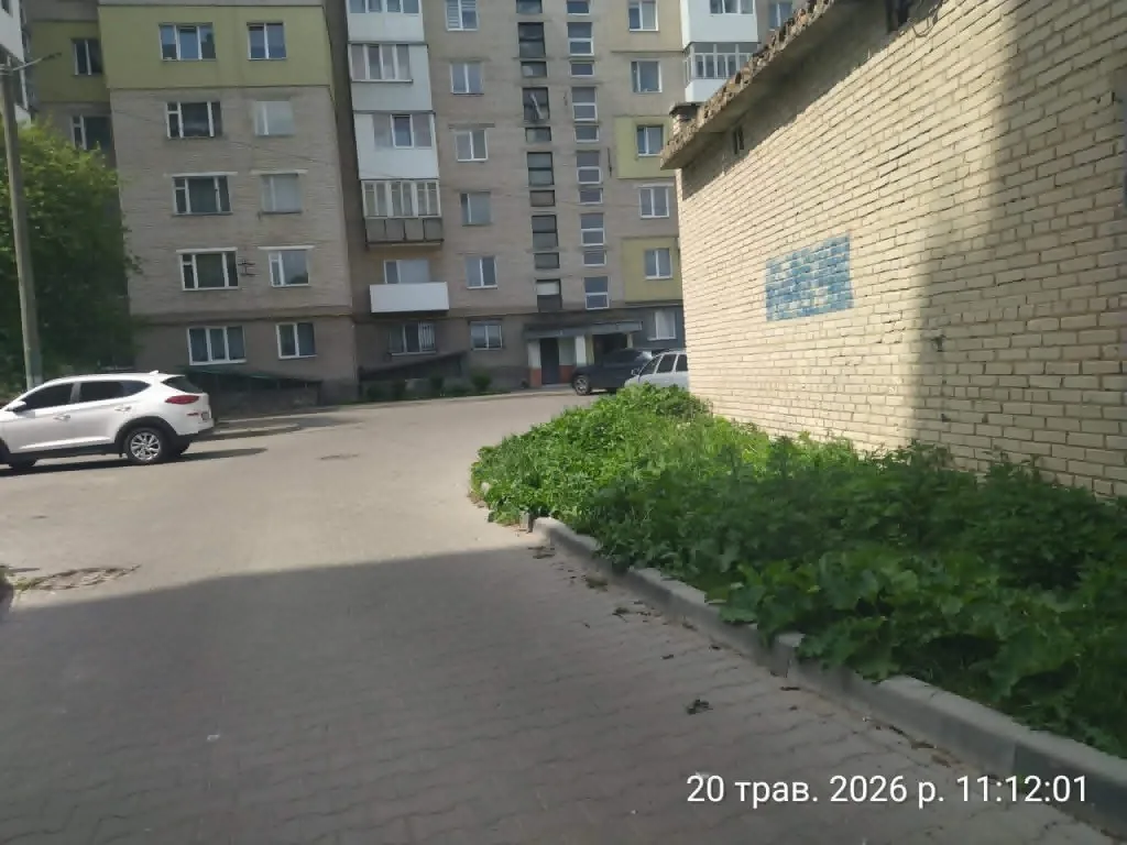 У Володимирі нагадують косити траву: у місті вже виявили порушення 5