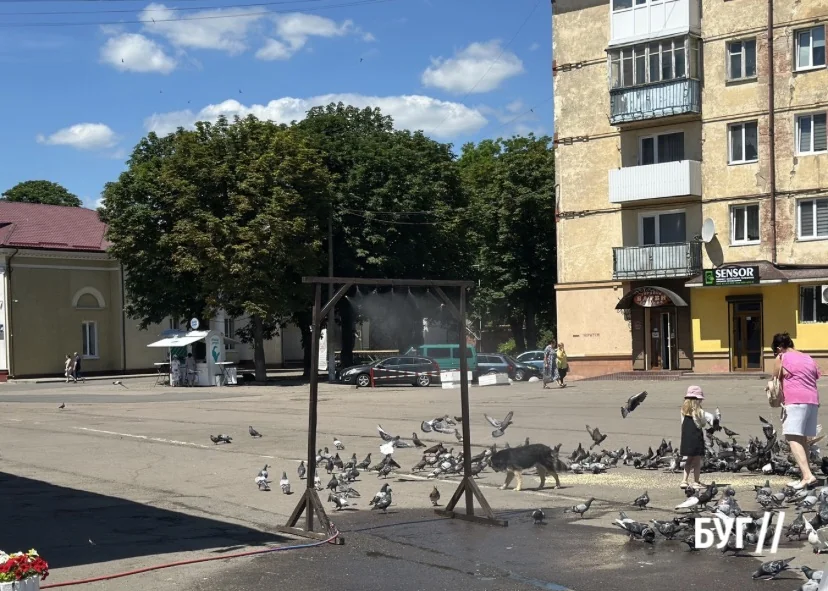 Місто буденне: спека змінює ритм життя у Володимирі 4