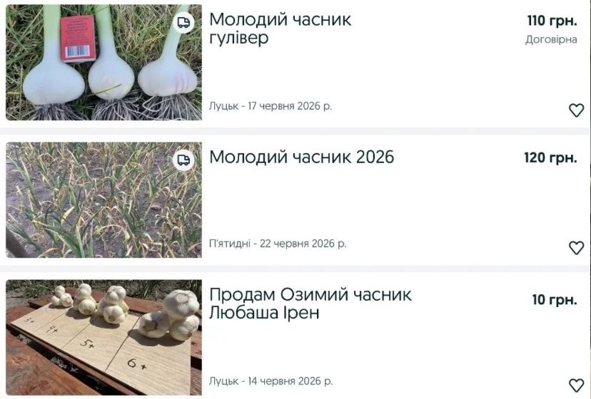 Врожай пішов у мережу: які домашні продукти волиняни продають на OLX 2