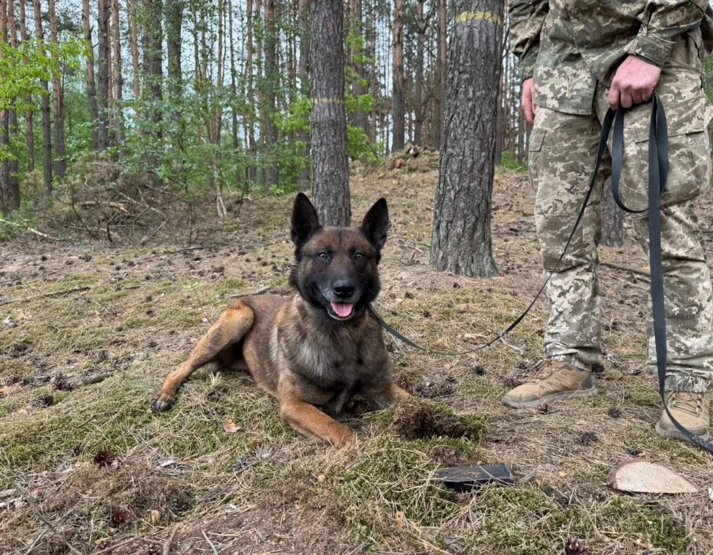 Від дитячої мрії до служби: як волинський кінолог разом із псом Ігнесом охороняють кордон 2