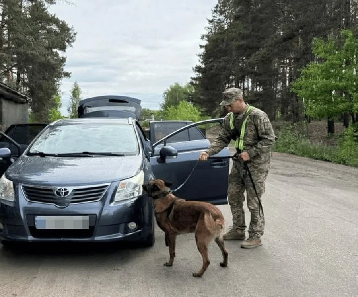 Від дитячої мрії до служби: як волинський кінолог разом із псом Ігнесом охороняють кордон 3