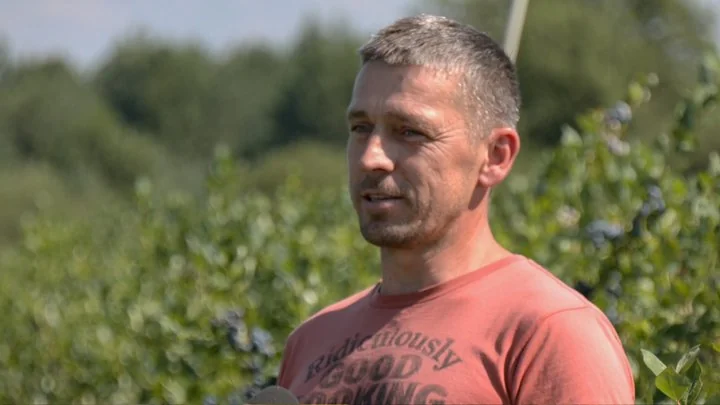 У дитинстві не любив, а тепер живе полем: ветеран займається ягідним бізнесом на Волині 2