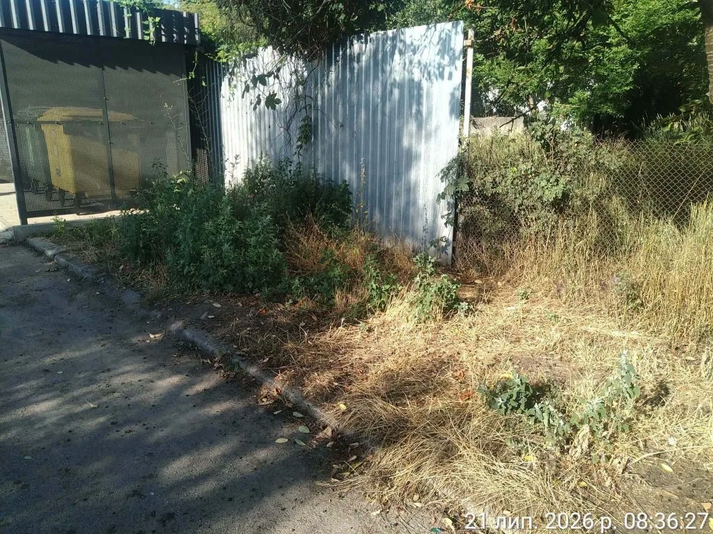 За тиждень у Володимирі виявили низку порушень ПДР та недоліків у благоустрої міста 10