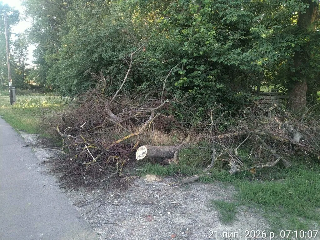 За тиждень у Володимирі виявили низку порушень ПДР та недоліків у благоустрої міста 11