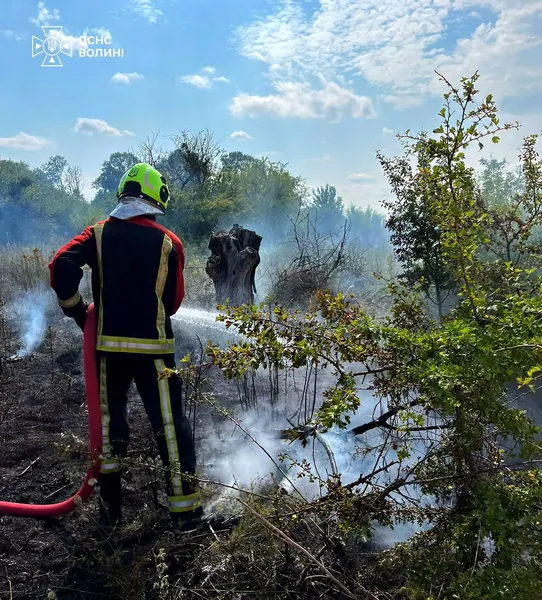 На Волині через людську необережність і скляну призму спалахнули три пожежі (фото) 2