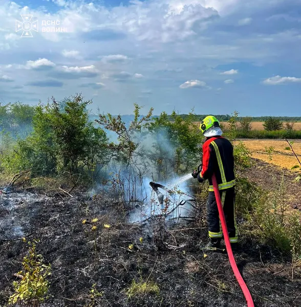 На Волині через людську необережність і скляну призму спалахнули три пожежі (фото) 1