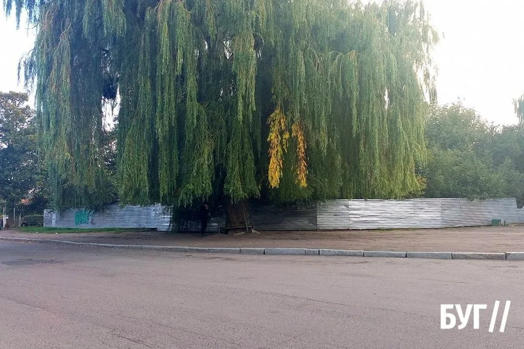 Фото дня: «легендарний» паркан біля автостанції Нововолинська - роки минають, огорожа залишається 1