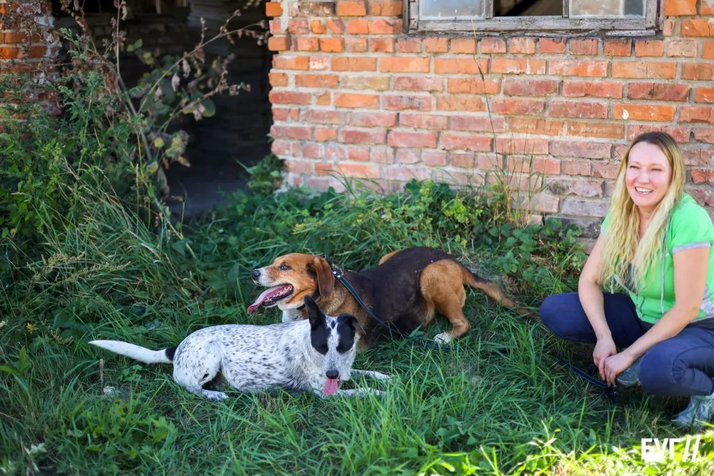 Лікують, стерилізують та шукають домівки: як живуть пухнастики у центрі порятунку тварин в селі Полонка біля Луцька 4