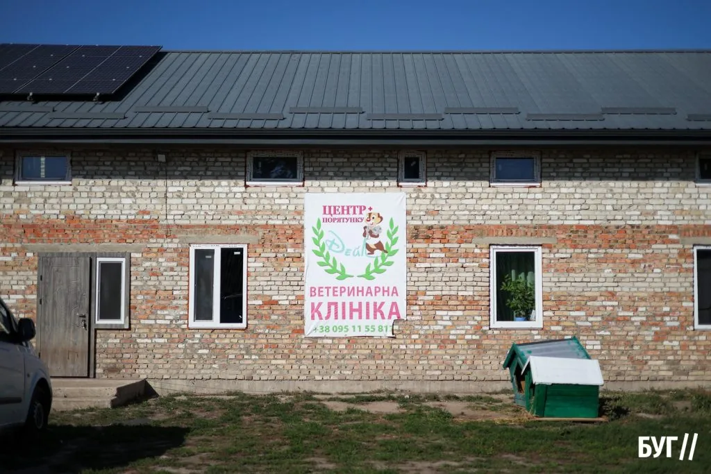 Лікують, стерилізують та шукають домівки: як живуть пухнастики у центрі порятунку тварин в селі Полонка біля Луцька 10
