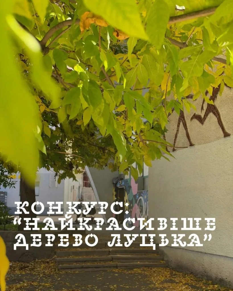 У Луцьку оголосили конкурс на найкрасивіше дерево 1