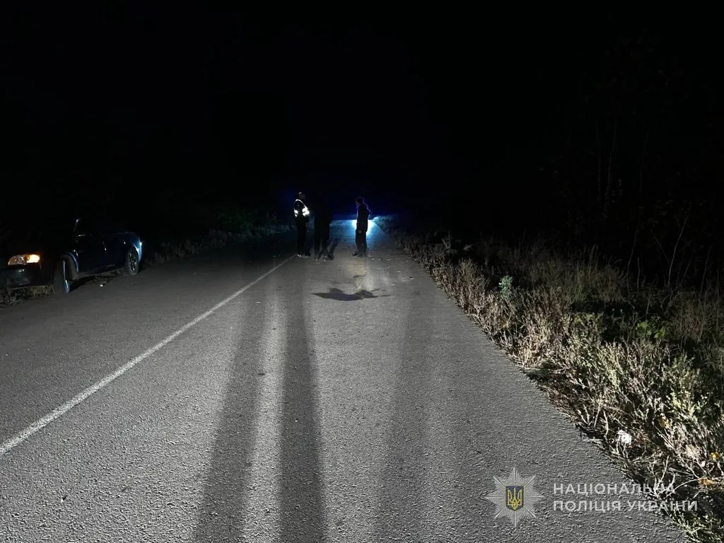 У Володимирському районі 17-річний водій авто зіткнувся з підводою: травмувалися п’ятеро людей 1